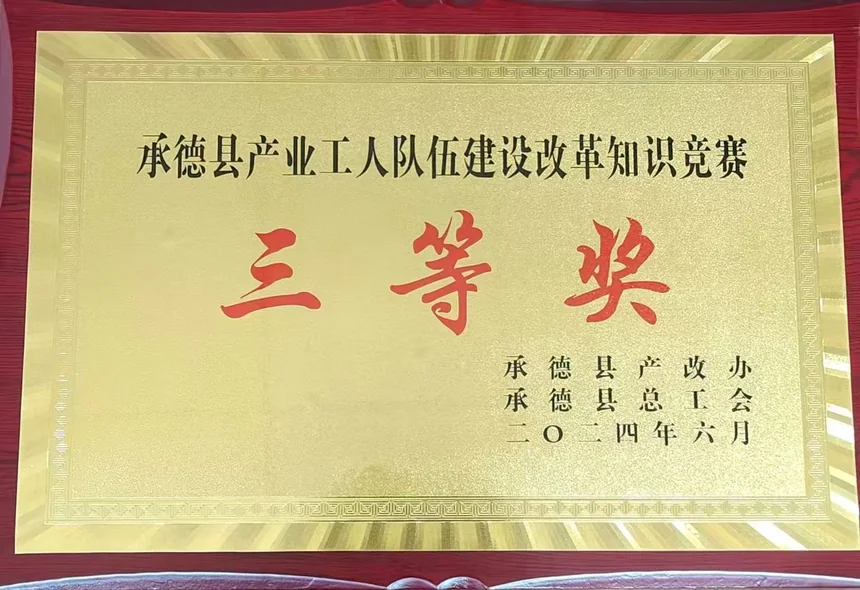 Third Prize in Industrial Worker Team Reform Knowledge Competition